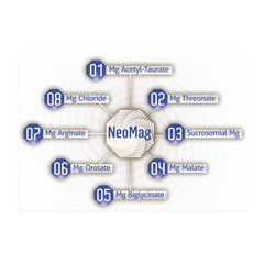 Magnesium 60 capsules- NeoMag - Supplement